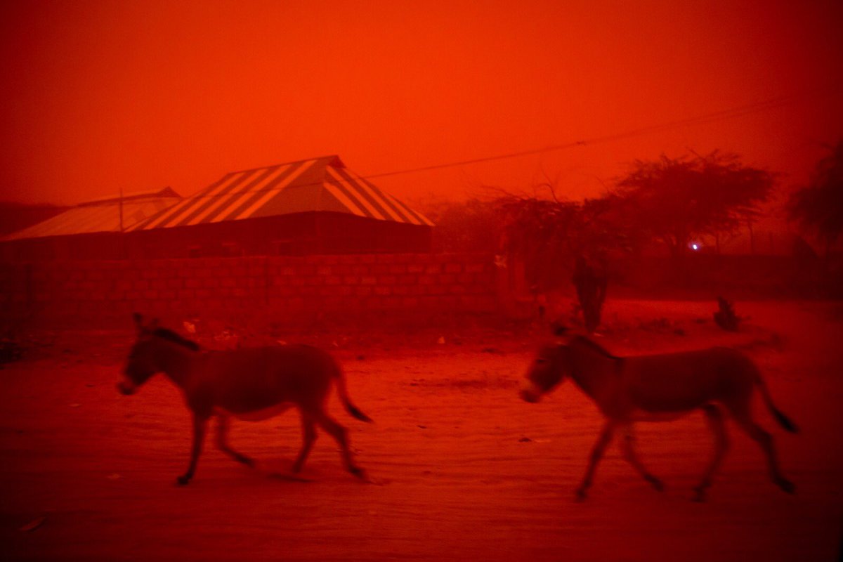 A sandstorm in Gedo, southwest Somalia